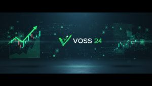 Voss24s umfassende Berichte erleichtern die Steuererklärung in Deutschland