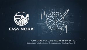 Easynorr’s State-of-the-Art Tools Drive Unstoppable Success