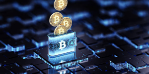 Elevon Partners: Canada and EU’s Safe Haven for Traders