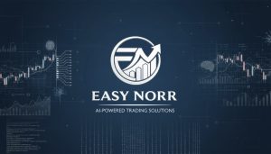 Easynorr’s Winning Formula: Speed, Security, Satisfaction